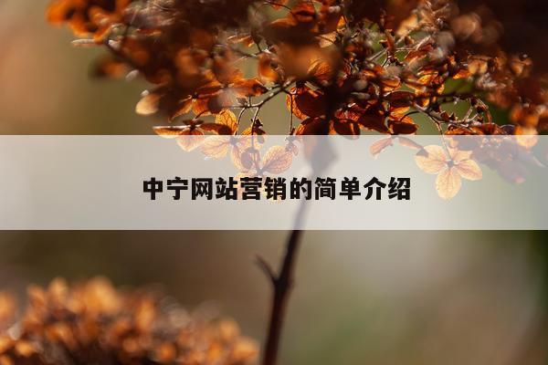中宁网站营销的简单介绍