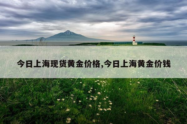 今日上海现货黄金价格,今日上海黄金价钱