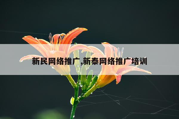 新民网络推广,新泰网络推广培训