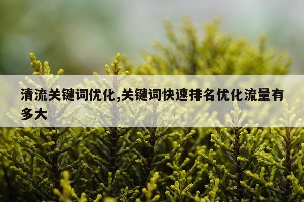 清流关键词优化,关键词快速排名优化流量有多大