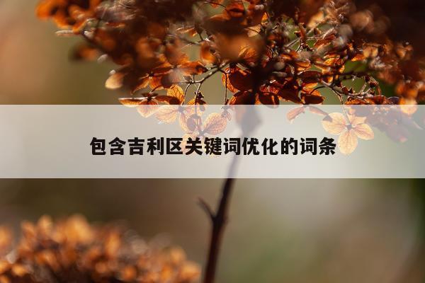 包含吉利区关键词优化的词条