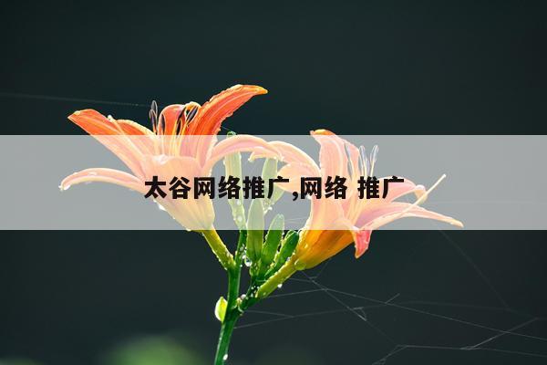 太谷网络推广,网络 推广