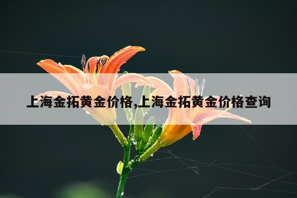 上海金拓黄金价格,上海金拓黄金价格查询