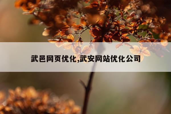 武邑网页优化,武安网站优化公司