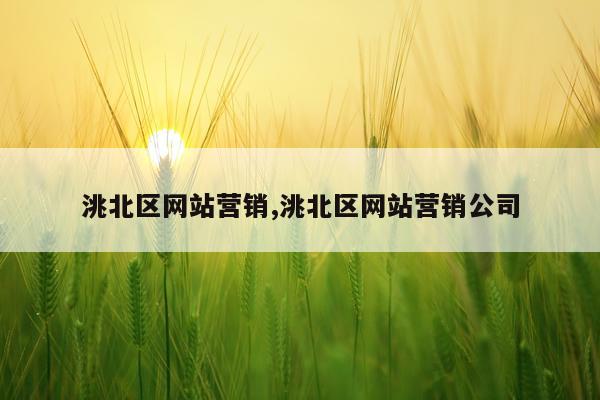 洮北区网站营销,洮北区网站营销公司