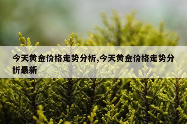 今天黄金价格走势分析,今天黄金价格走势分析最新