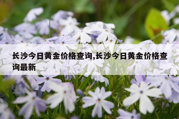 长沙今日黄金价格查询,长沙今日黄金价格查询最新