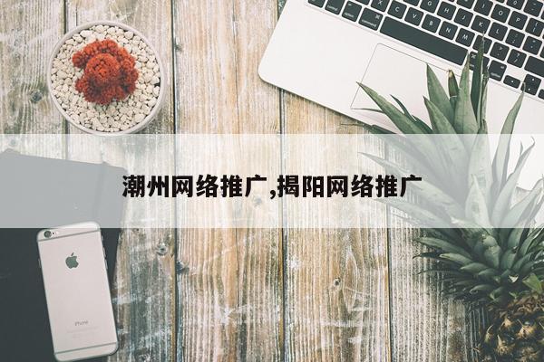 潮州网络推广,揭阳网络推广