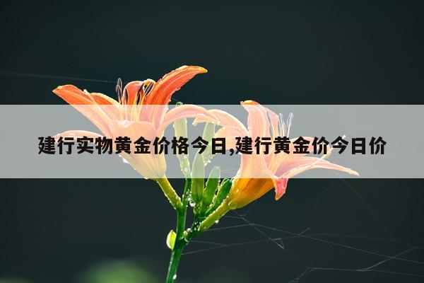 建行实物黄金价格今日,建行黄金价今日价