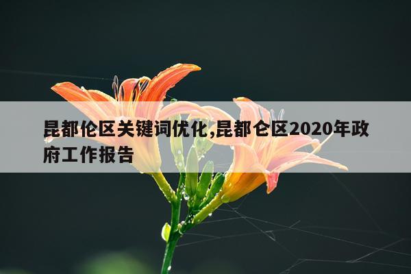 昆都伦区关键词优化,昆都仑区2020年政府工作报告