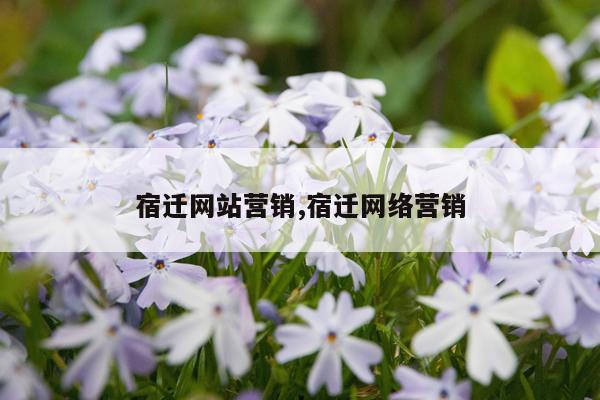 宿迁网站营销,宿迁网络营销