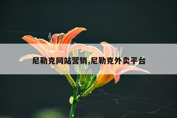 尼勒克网站营销,尼勒克外卖平台