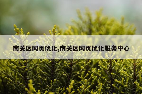 南关区网页优化,南关区网页优化服务中心