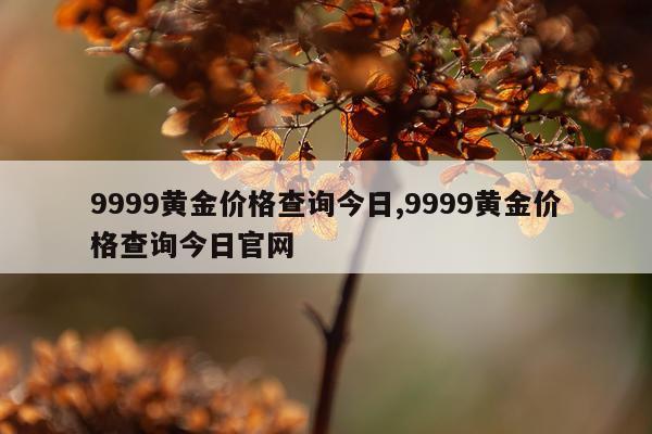 9999黄金价格查询今日,9999黄金价格查询今日官网