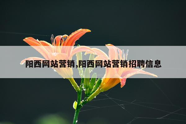 阳西网站营销,阳西网站营销招聘信息