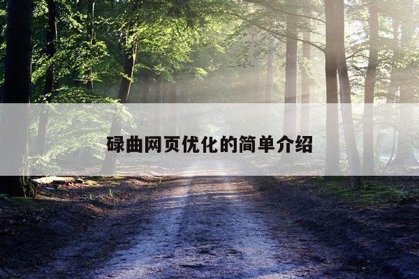 碌曲网页优化的简单介绍
