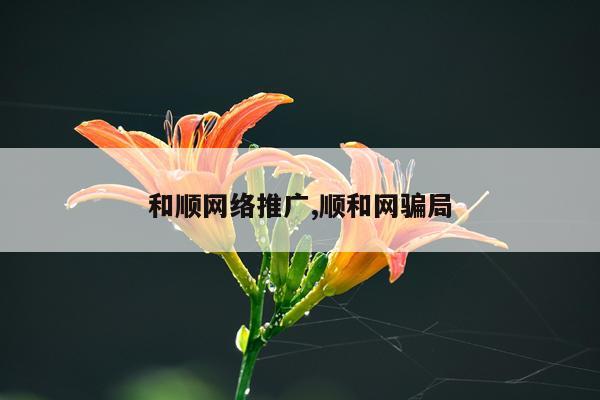 和顺网络推广,顺和网骗局