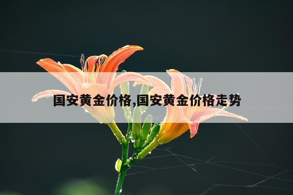 国安黄金价格,国安黄金价格走势