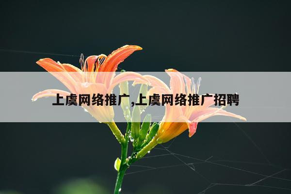 上虞网络推广,上虞网络推广招聘