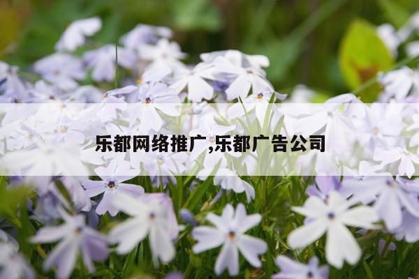乐都网络推广,乐都广告公司