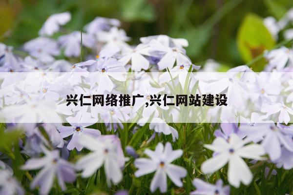 兴仁网络推广,兴仁网站建设