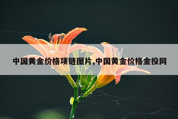 中国黄金价格项链图片,中国黄金价格金投网