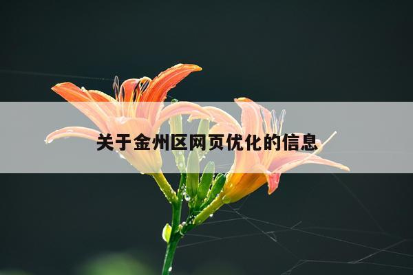 关于金州区网页优化的信息