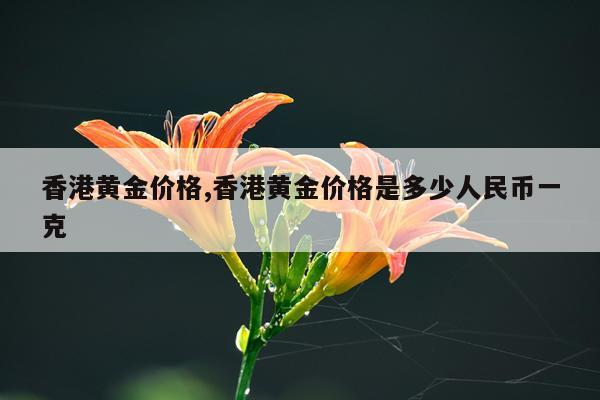香港黄金价格,香港黄金价格是多少人民币一克