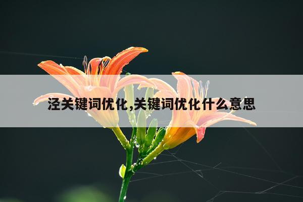泾关键词优化,关键词优化什么意思