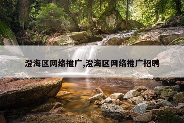 澄海区网络推广,澄海区网络推广招聘