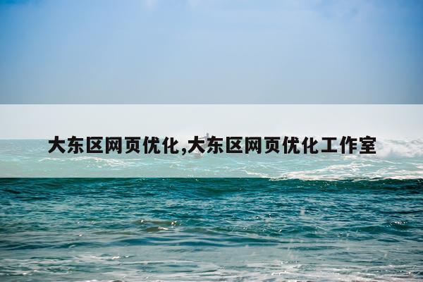 大东区网页优化,大东区网页优化工作室