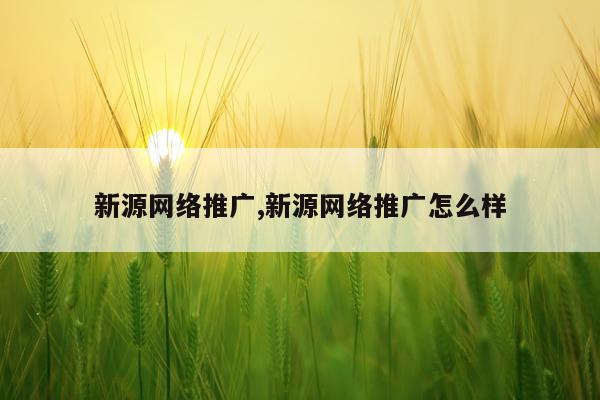 新源网络推广,新源网络推广怎么样