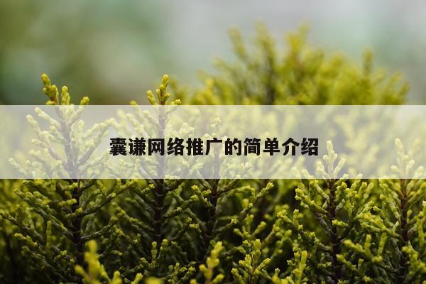 囊谦网络推广的简单介绍