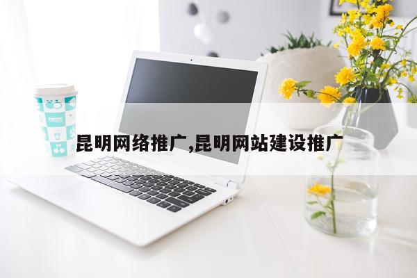 昆明网络推广,昆明网站建设推广