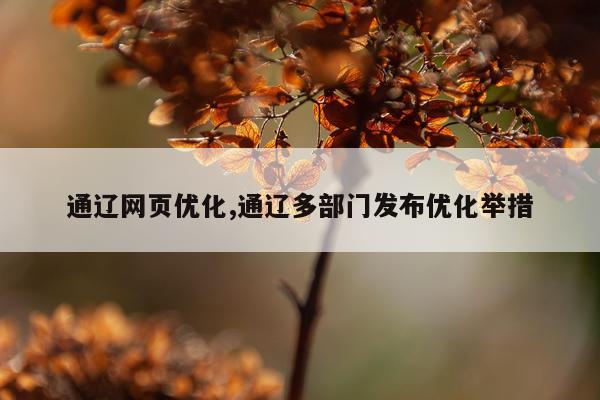 通辽网页优化,通辽多部门发布优化举措
