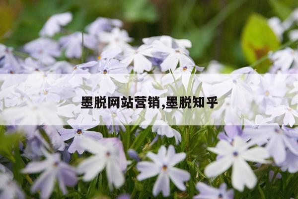墨脱网站营销,墨脱知乎