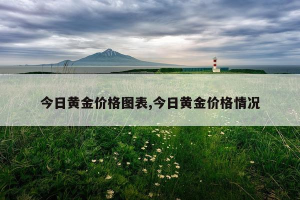 今日黄金价格图表,今日黄金价格情况