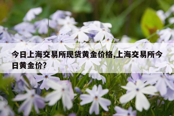 今日上海交易所现货黄金价格,上海交易所今日黄金价?