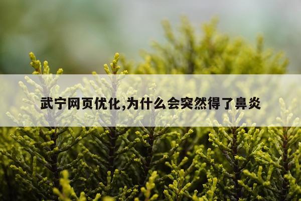 武宁网页优化,为什么会突然得了鼻炎
