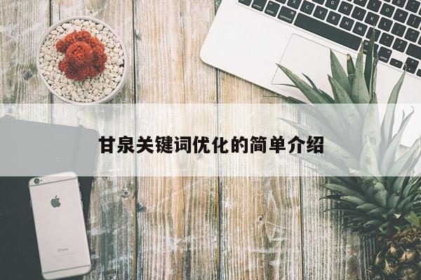 甘泉关键词优化的简单介绍
