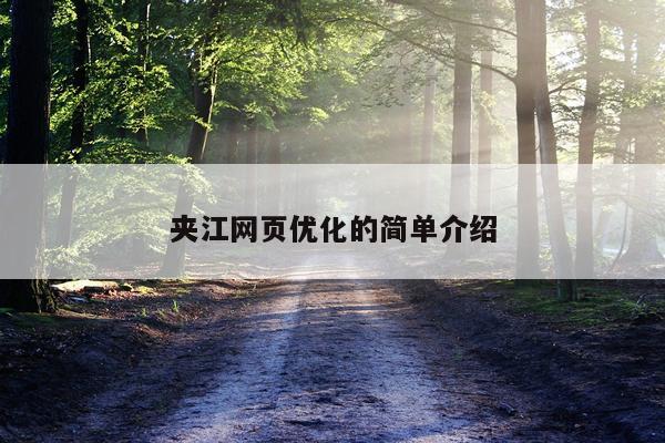 夹江网页优化的简单介绍