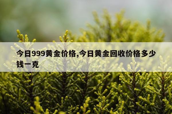 今日999黄金价格,今日黄金回收价格多少钱一克