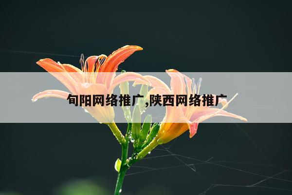 旬阳网络推广,陕西网络推广