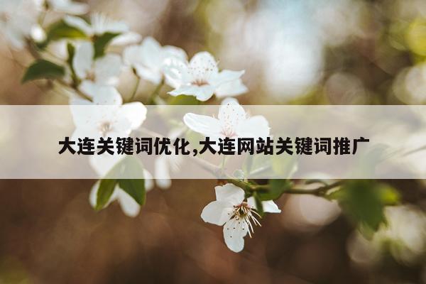 大连关键词优化,大连网站关键词推广