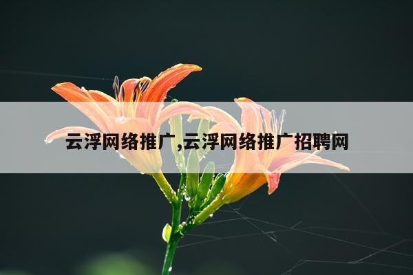 云浮网络推广,云浮网络推广招聘网