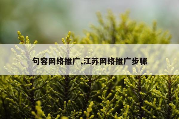 句容网络推广,江苏网络推广步骤