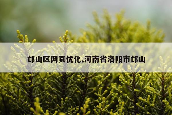 邙山区网页优化,河南省洛阳市邙山