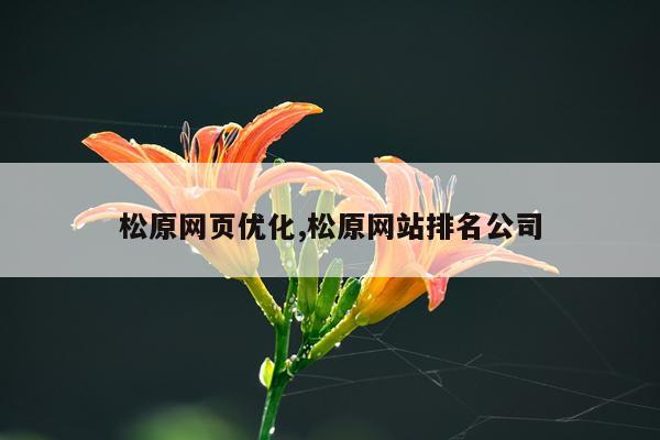 松原网页优化,松原网站排名公司