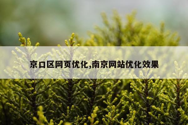 京口区网页优化,南京网站优化效果