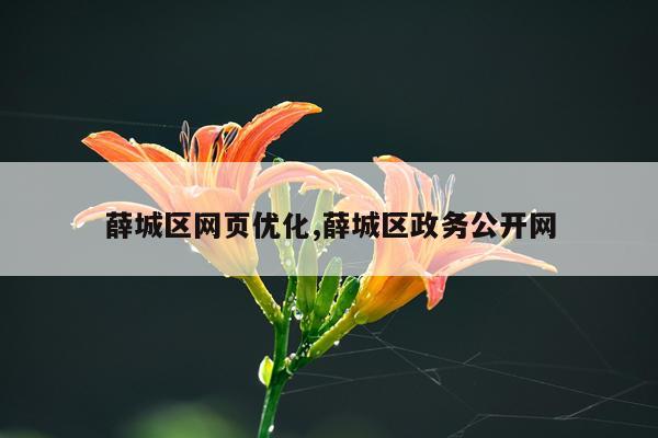 薛城区网页优化,薛城区政务公开网